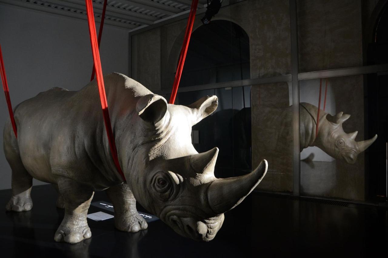 Aparthotel Rhinoceros Roma Exterior foto